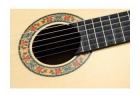 Гитара классическая с корпусом из массива ели DOWINA RIOJA S Limited Edition