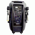 Купить портативную колонку Акустическая система активная AURA A215MP3-Battery