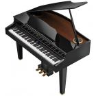 Купить профессиональный Рояль цифровой ROLAND GP-607 PE цвет черный